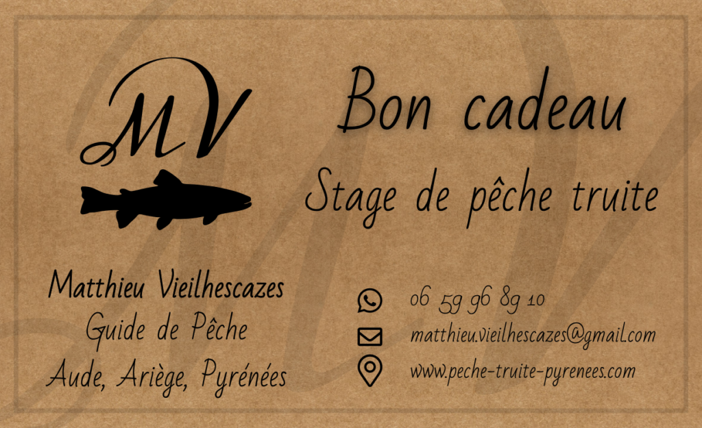 Bon-Cadeau - stages de pêche truite Matthieu Vieilhescazes - Guide de pêche. 