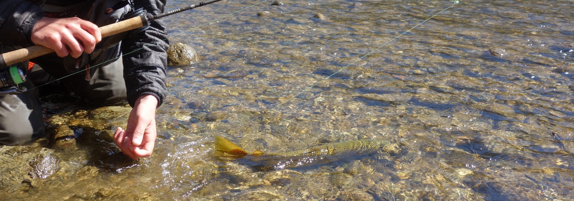 Pêche aux appâts naturels Guide de pêche truite Aude Ariège Pyrénées Matthieu Vieilhescazes
