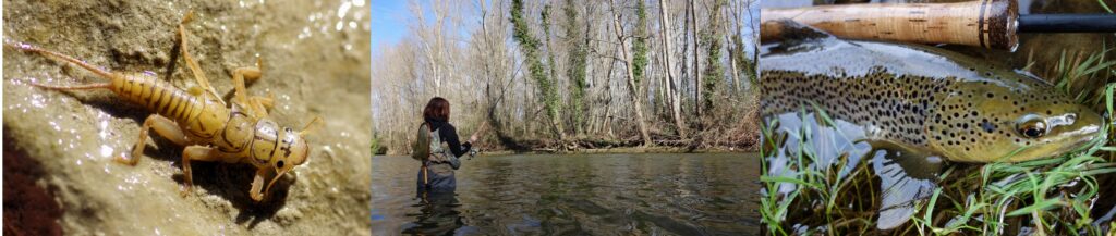 Pêche de la truite aux appâts naturels